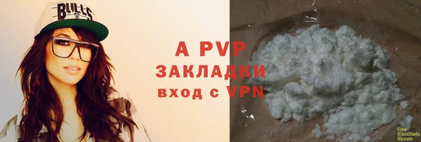 твердый Новосибирск