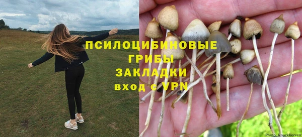 стаф Краснослободск