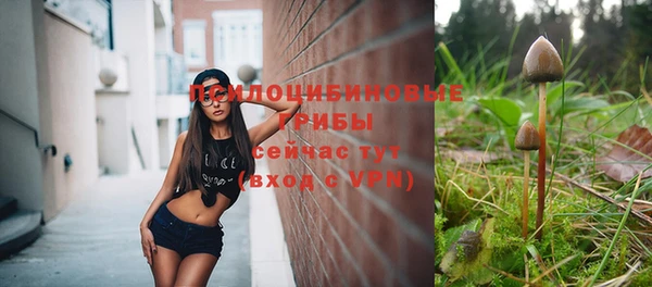 первитин Краснотурьинск