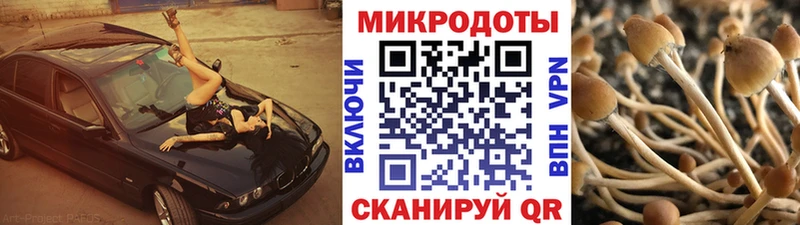 KRAKEN ссылка Юрюзань Псилоцибиновые грибы Cubensis